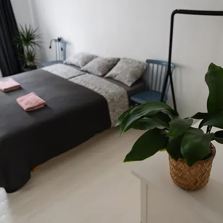 Dzīvoklis Charming 2 Bedroom Apartment, Free Parking Riga