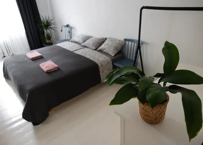 Apartment Charming 2 Bedroom Apartment, Free Parking Riga